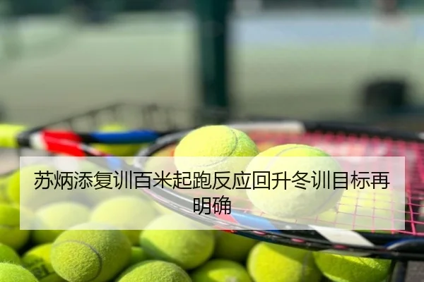 苏炳添复训百米起跑反应回升冬训目标再明确